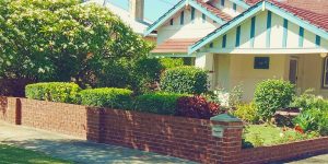 Bayswater Gardening Service 3